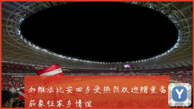 加维法比安回乡受热烈欢迎赠重番茄象征家乡情谊